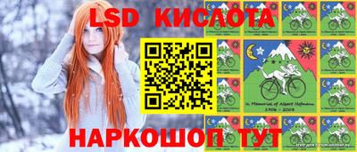 прущие грибы Анапа