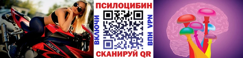 Галлюциногенные грибы GOLDEN TEACHER  Киржач 